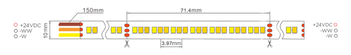 2835 warm white and white led strip lights size